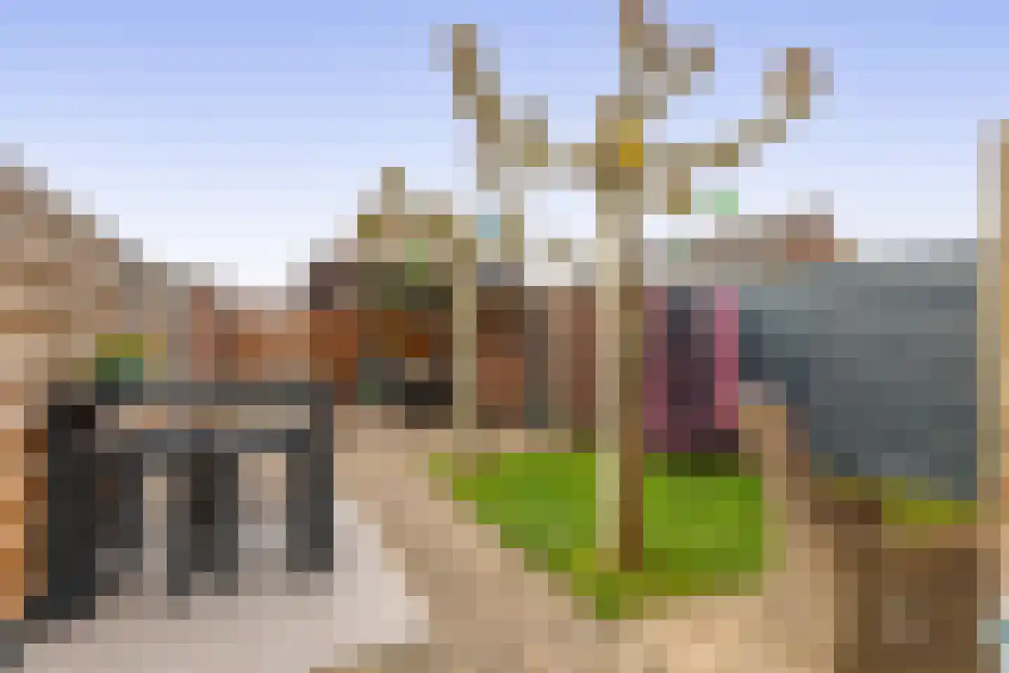 Leliestraat 28 Zevenhuizen thumbnail 31