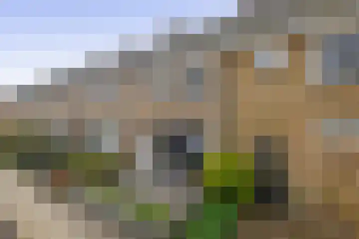 Leliestraat 28 Zevenhuizen thumbnail 31