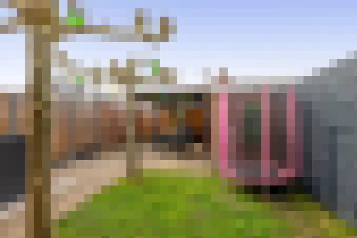 Leliestraat 28 Zevenhuizen thumbnail 32