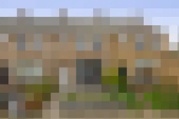 Leliestraat 28 Zevenhuizen thumbnail 33