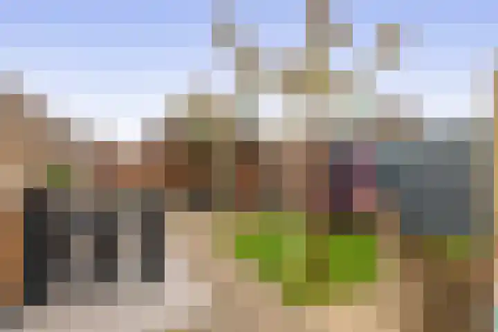 Leliestraat 28 Zevenhuizen thumbnail 4
