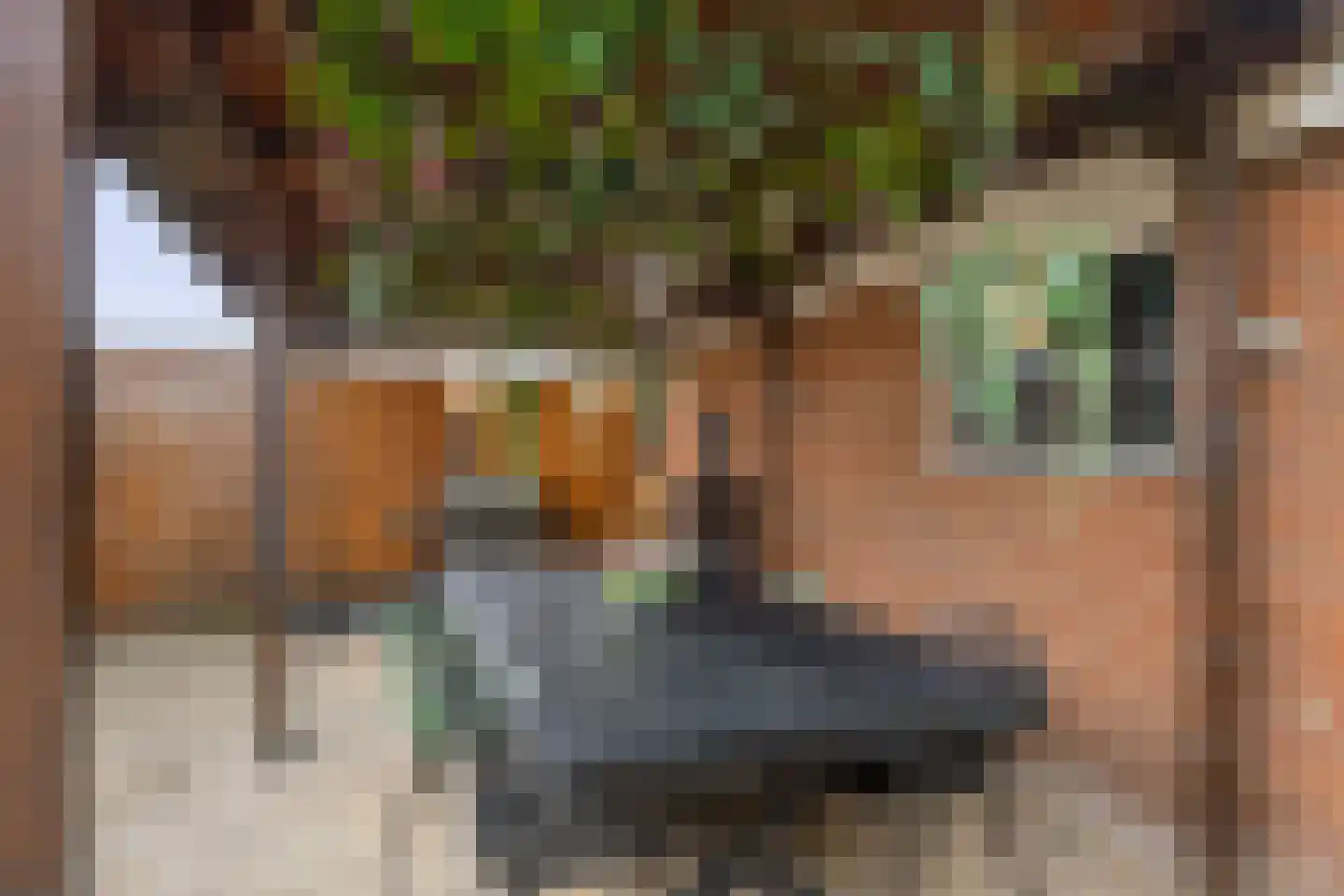 Leliestraat 28 Zevenhuizen thumbnail 6