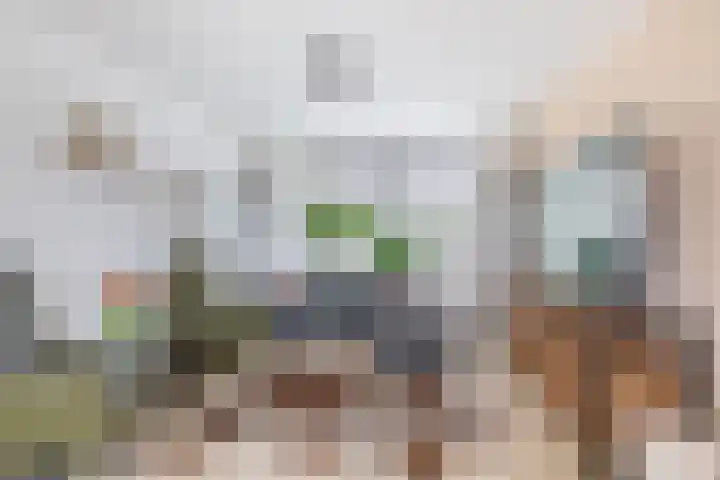 Leliestraat 28 Zevenhuizen thumbnail 7