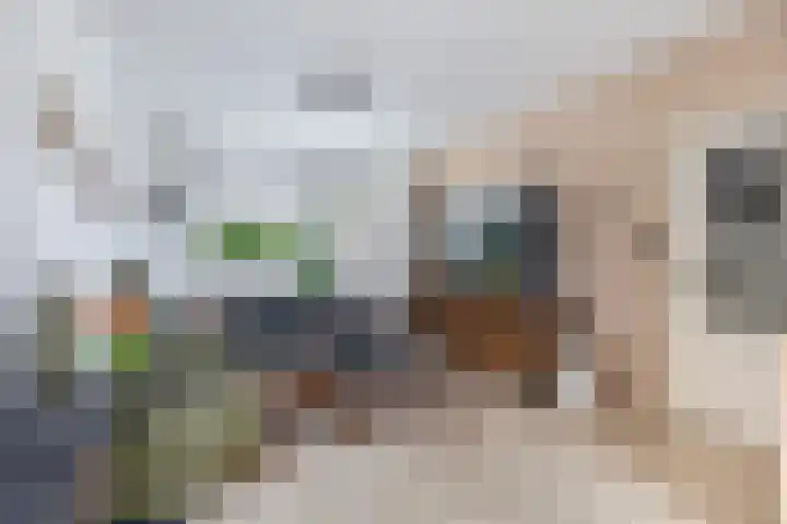 Leliestraat 28 Zevenhuizen thumbnail 8