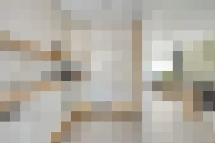 Leliestraat 29 Beek en Donk thumbnail 10