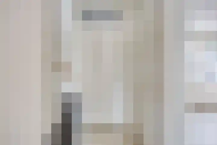 Leliestraat 29 Beek en Donk thumbnail 13