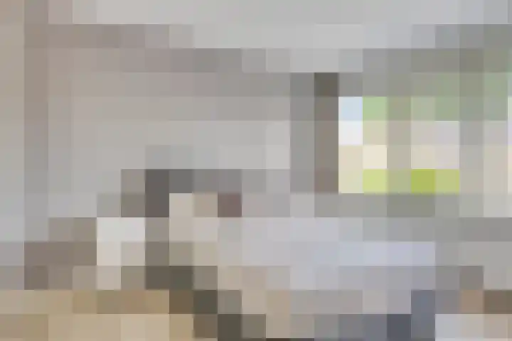 Leliestraat 29 Beek en Donk thumbnail 14