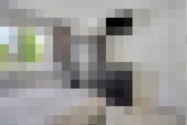 Leliestraat 29 Beek en Donk thumbnail 15