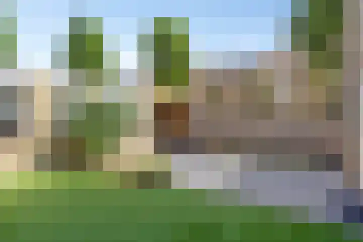 Leliestraat 29 Beek en Donk thumbnail 26