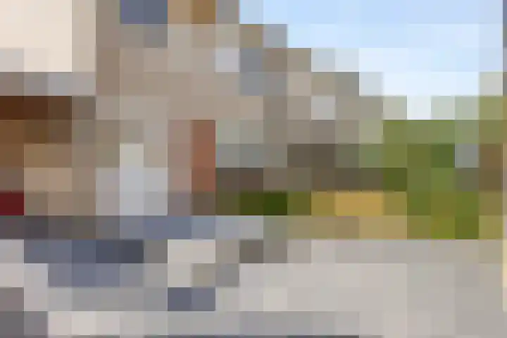 Leliestraat 29 Beek en Donk thumbnail 28
