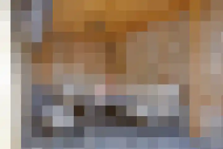 Leliestraat 29 Beek en Donk thumbnail 29