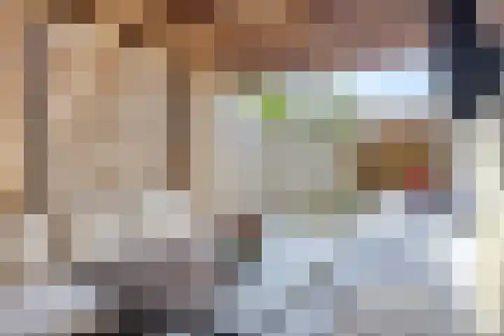 Leliestraat 29 Beek en Donk thumbnail 30