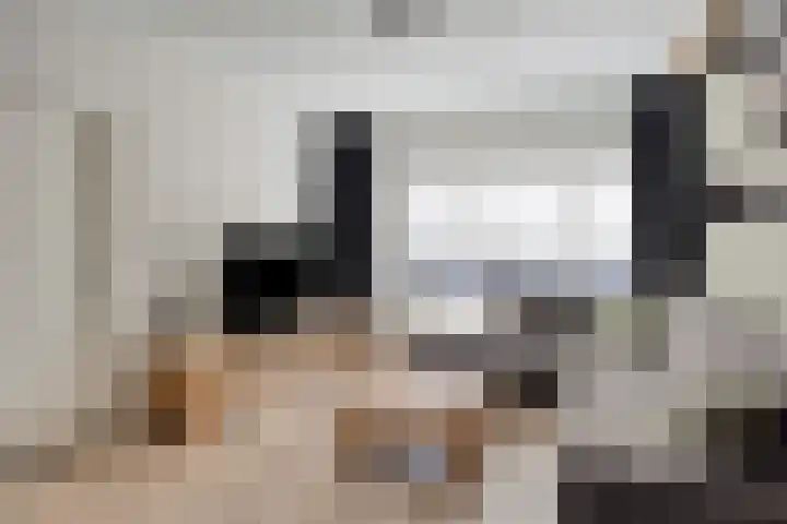 Leliestraat 29 Beek en Donk thumbnail 5