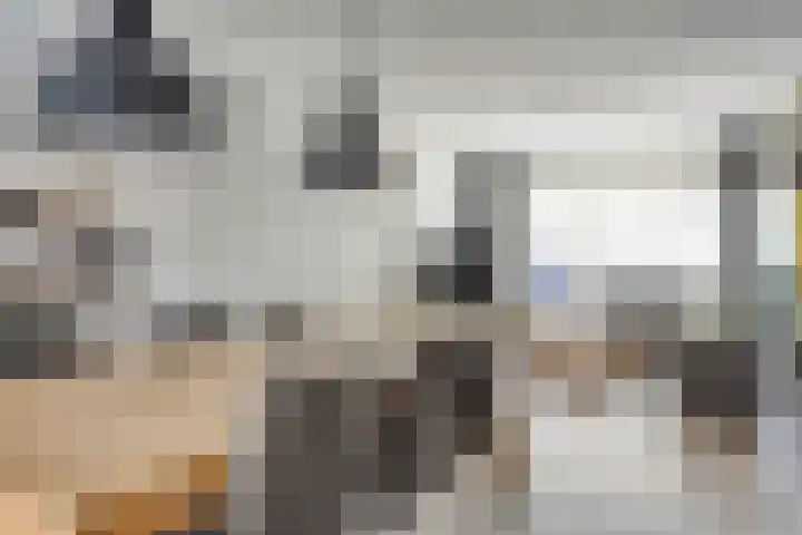 Leliestraat 29 Beek en Donk thumbnail 9