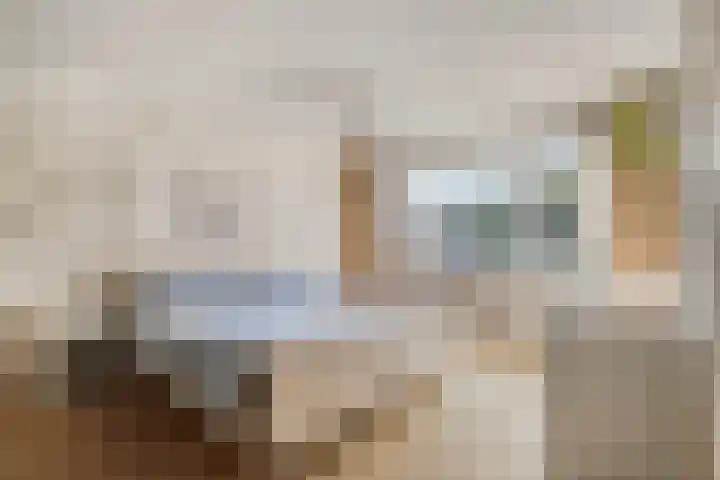 Leliestraat 29 Roelofarendsveen thumbnail 10