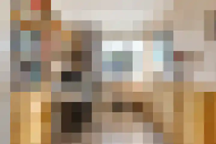 Leliestraat 29 Roelofarendsveen thumbnail 13
