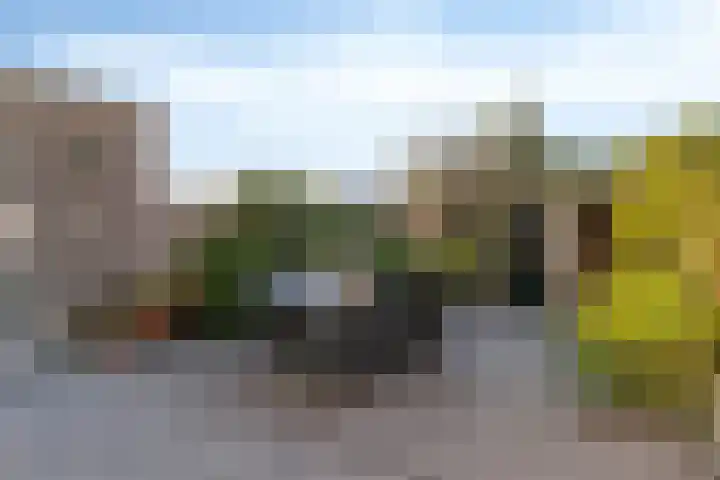 Leliestraat 29 Roelofarendsveen thumbnail 18