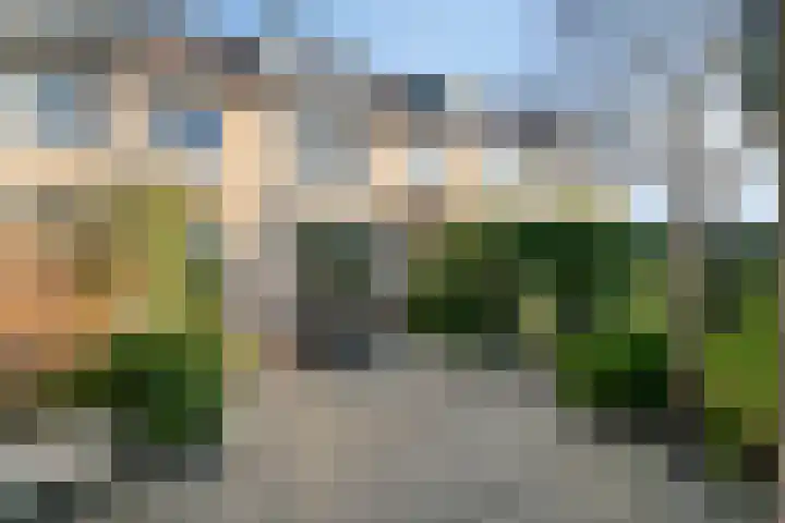 Leliestraat 29 Roelofarendsveen thumbnail 19