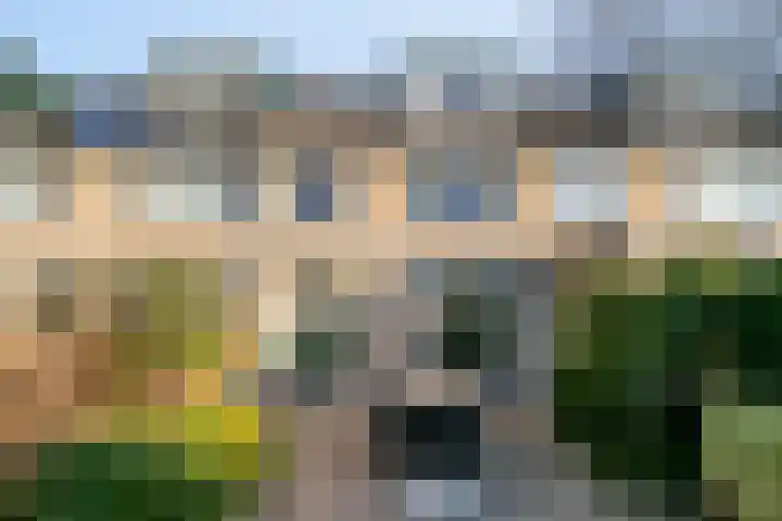 Leliestraat 29 Roelofarendsveen thumbnail 20