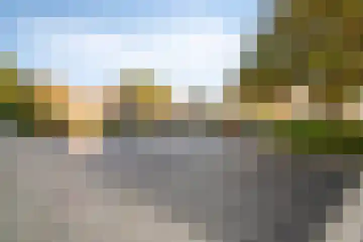Leliestraat 29 Roelofarendsveen thumbnail 22