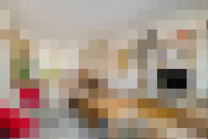 Leliestraat 29 Roelofarendsveen thumbnail 5