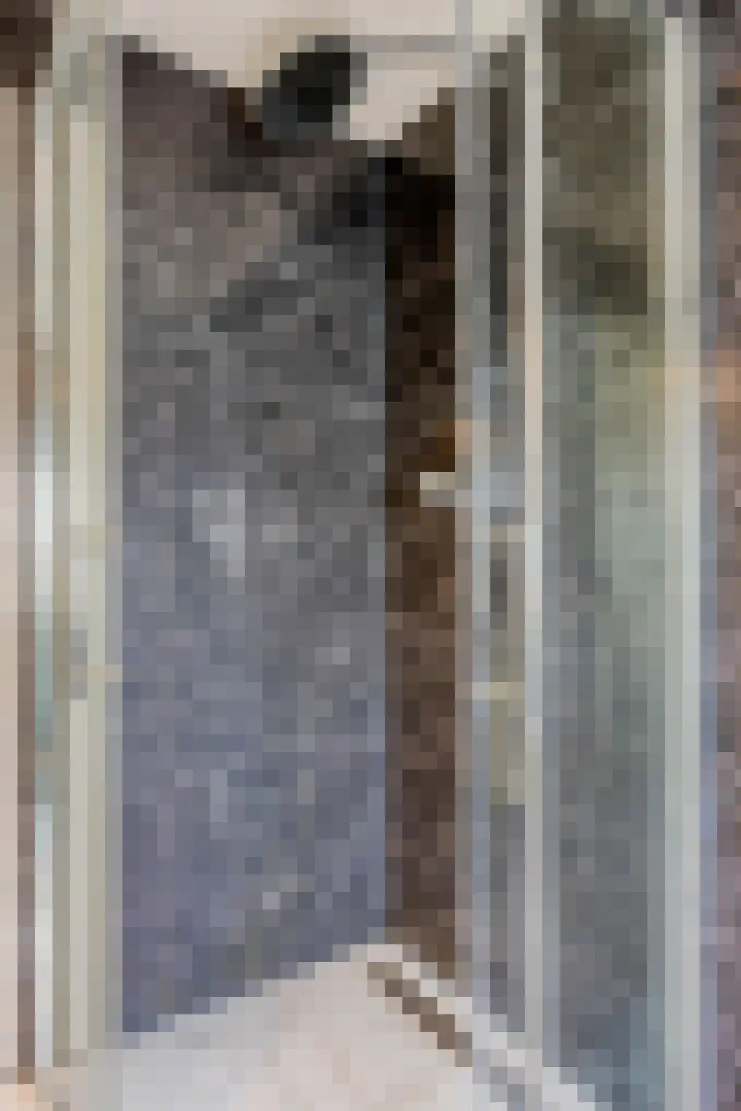 Leliestraat 29 Wormerveer thumbnail 19
