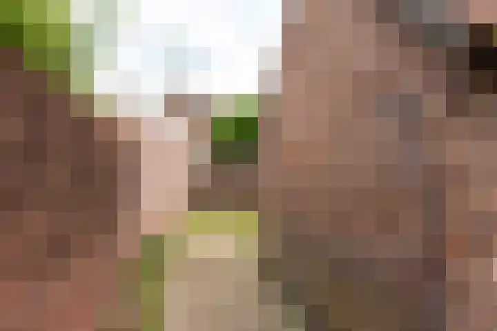Leliestraat 3 Baarn thumbnail 22