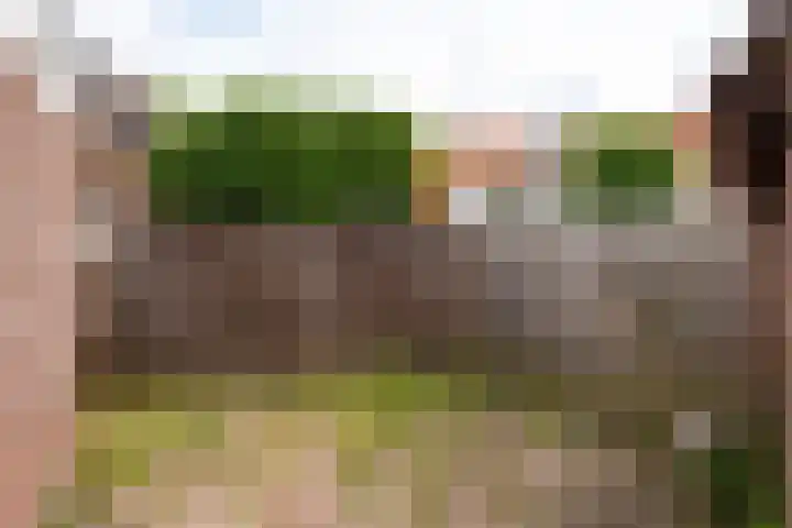 Leliestraat 3 Baarn thumbnail 23