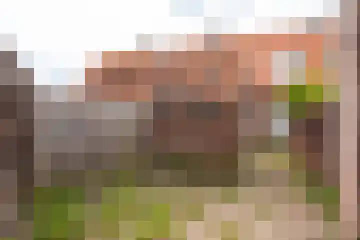 Leliestraat 3 Baarn thumbnail 24