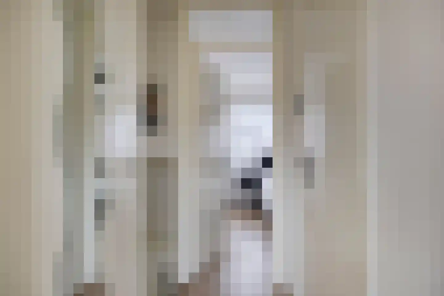 Leliestraat 3 Heenvliet thumbnail 19