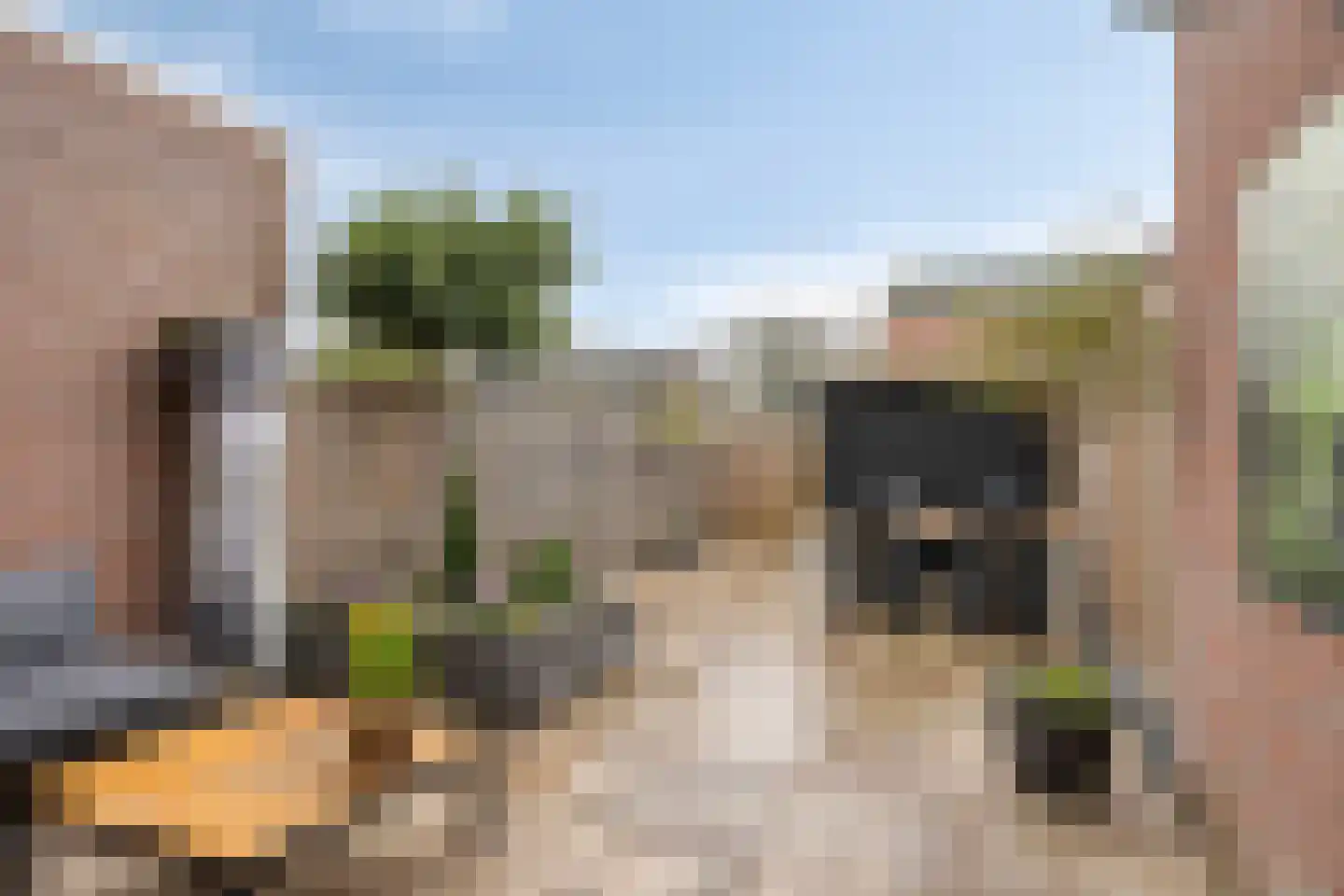 Leliestraat 3 Heenvliet thumbnail 31