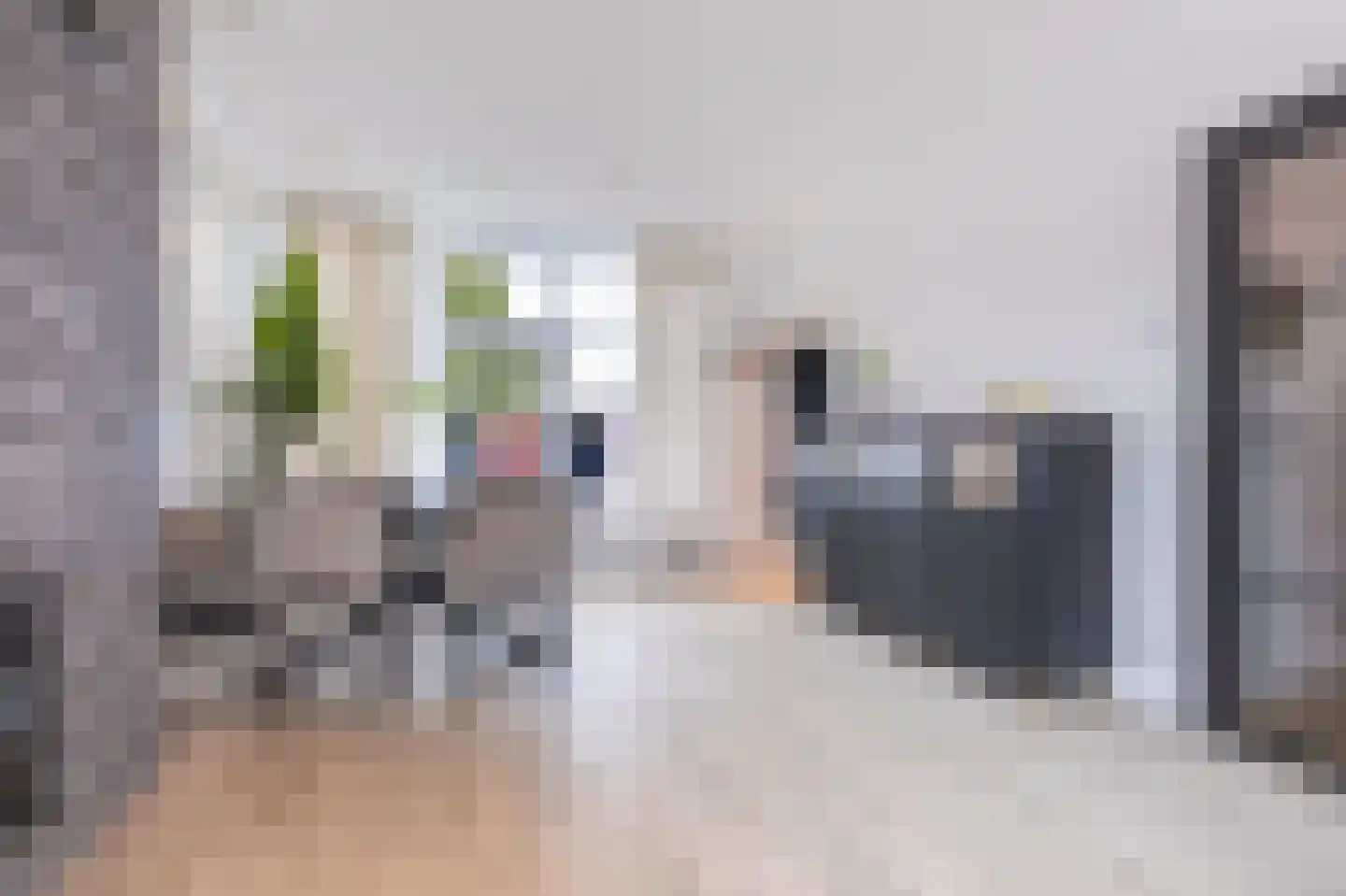 Leliestraat 3 Koog aan de Zaan thumbnail 13