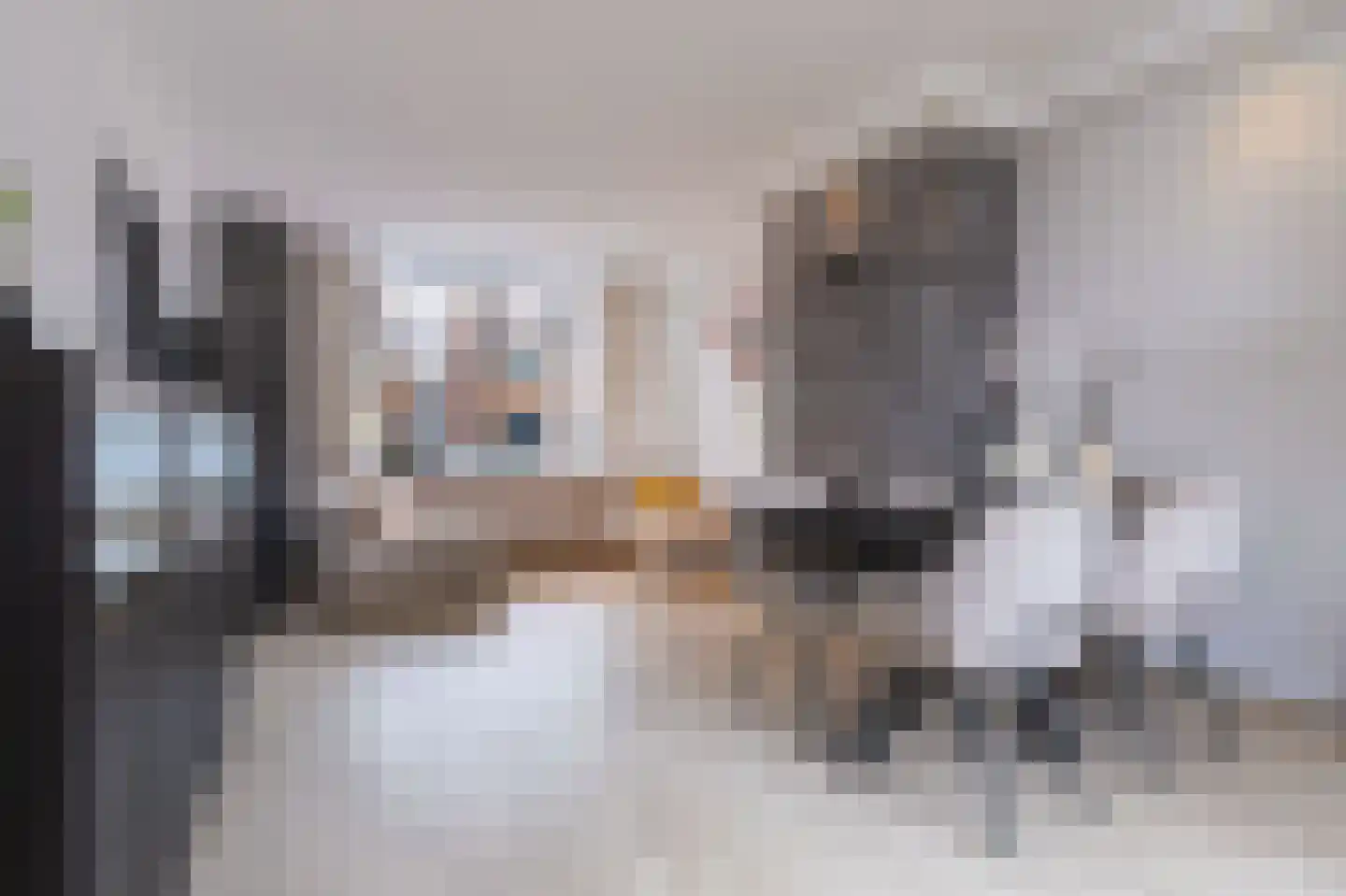 Leliestraat 3 Koog aan de Zaan thumbnail 16