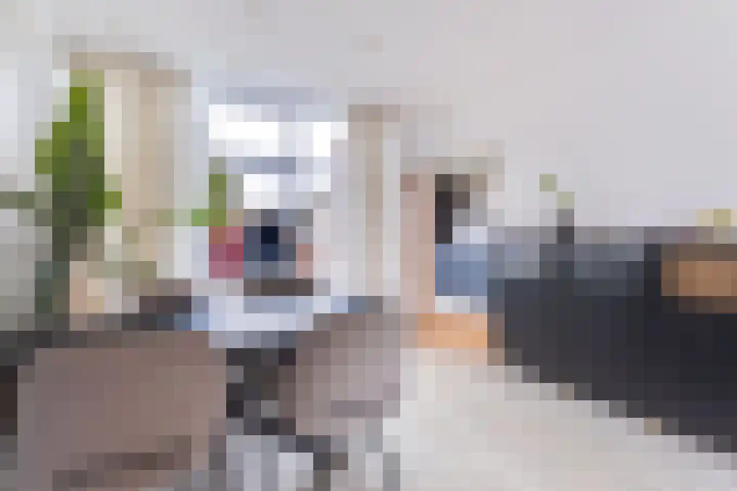 Leliestraat 3 Koog aan de Zaan thumbnail 21