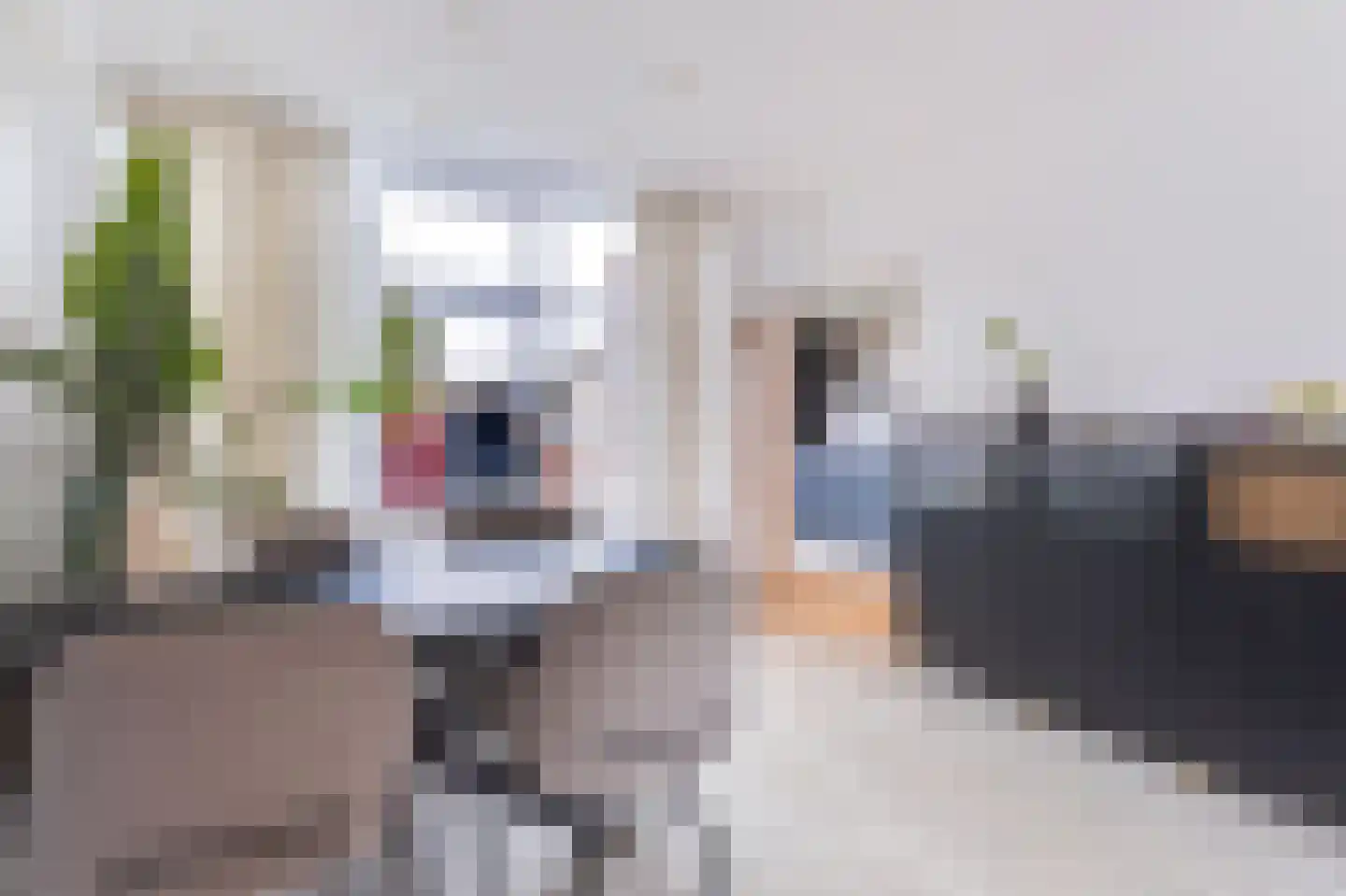 Leliestraat 3 Koog aan de Zaan thumbnail 22