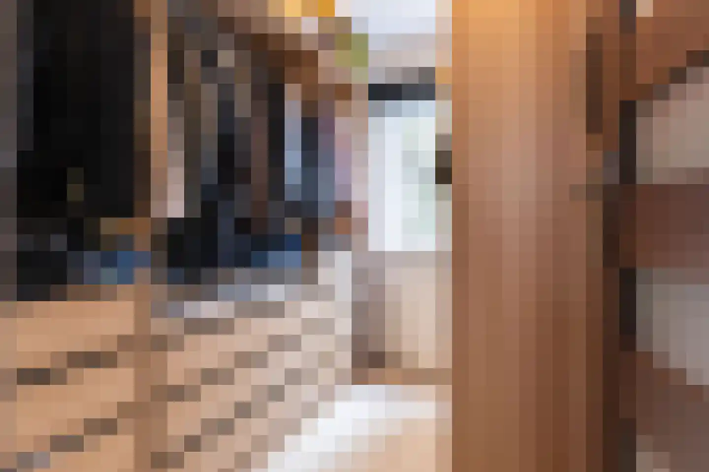 Leliestraat 3 Koog aan de Zaan thumbnail 36