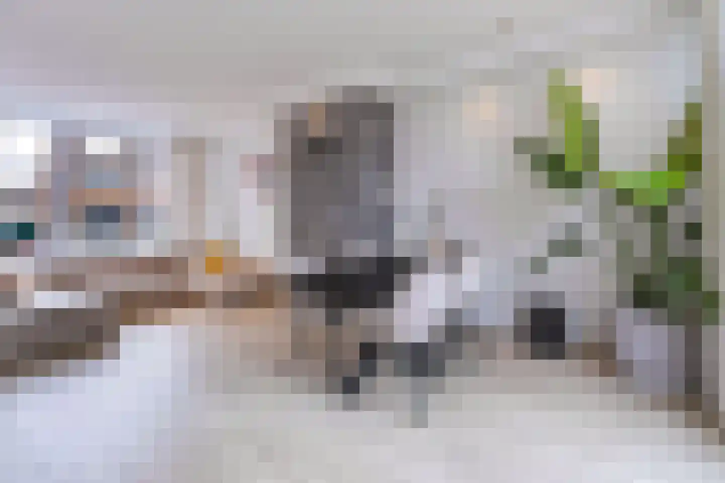 Leliestraat 3 Koog aan de Zaan thumbnail 4