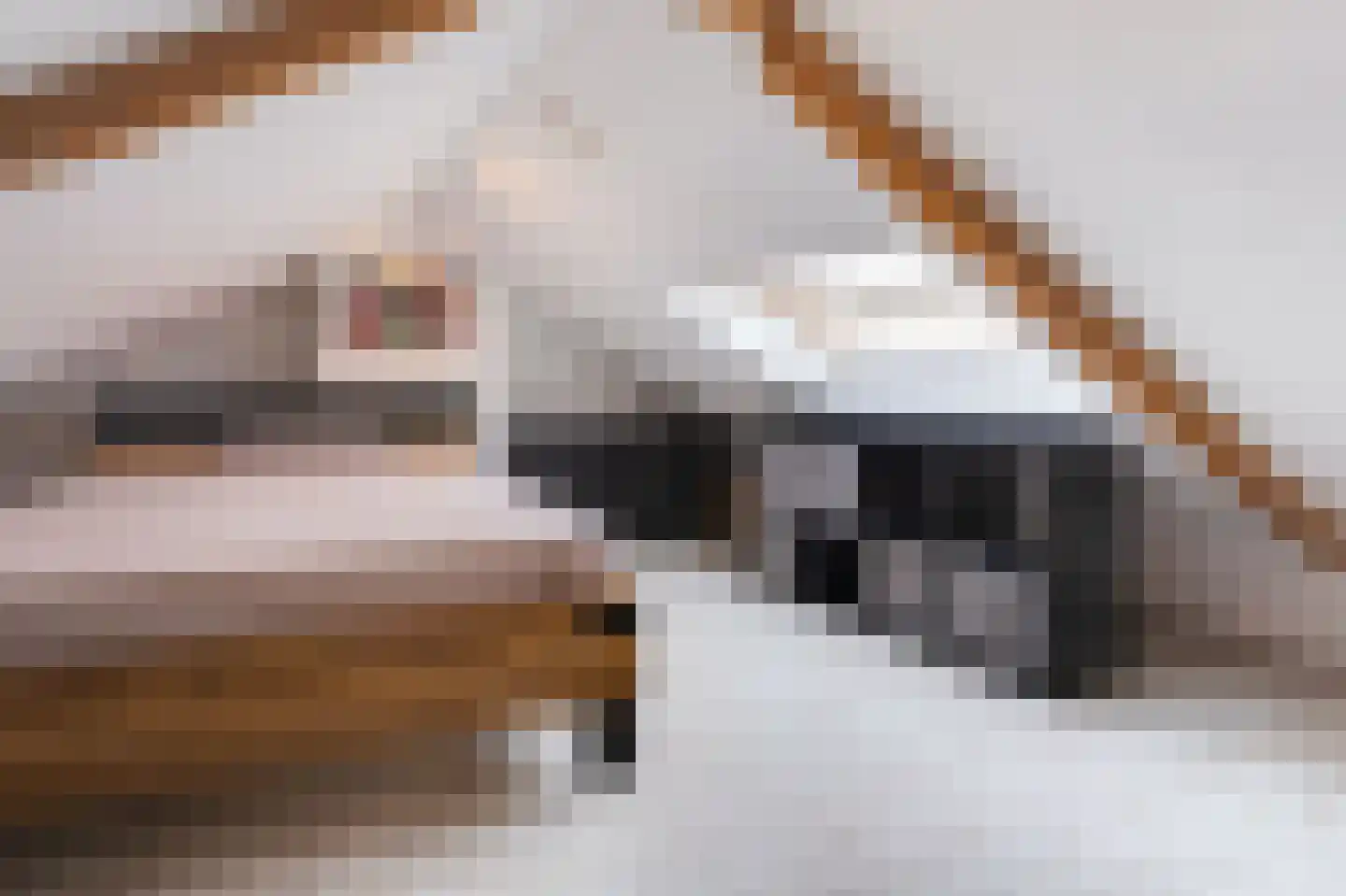 Leliestraat 3 Koog aan de Zaan thumbnail 44