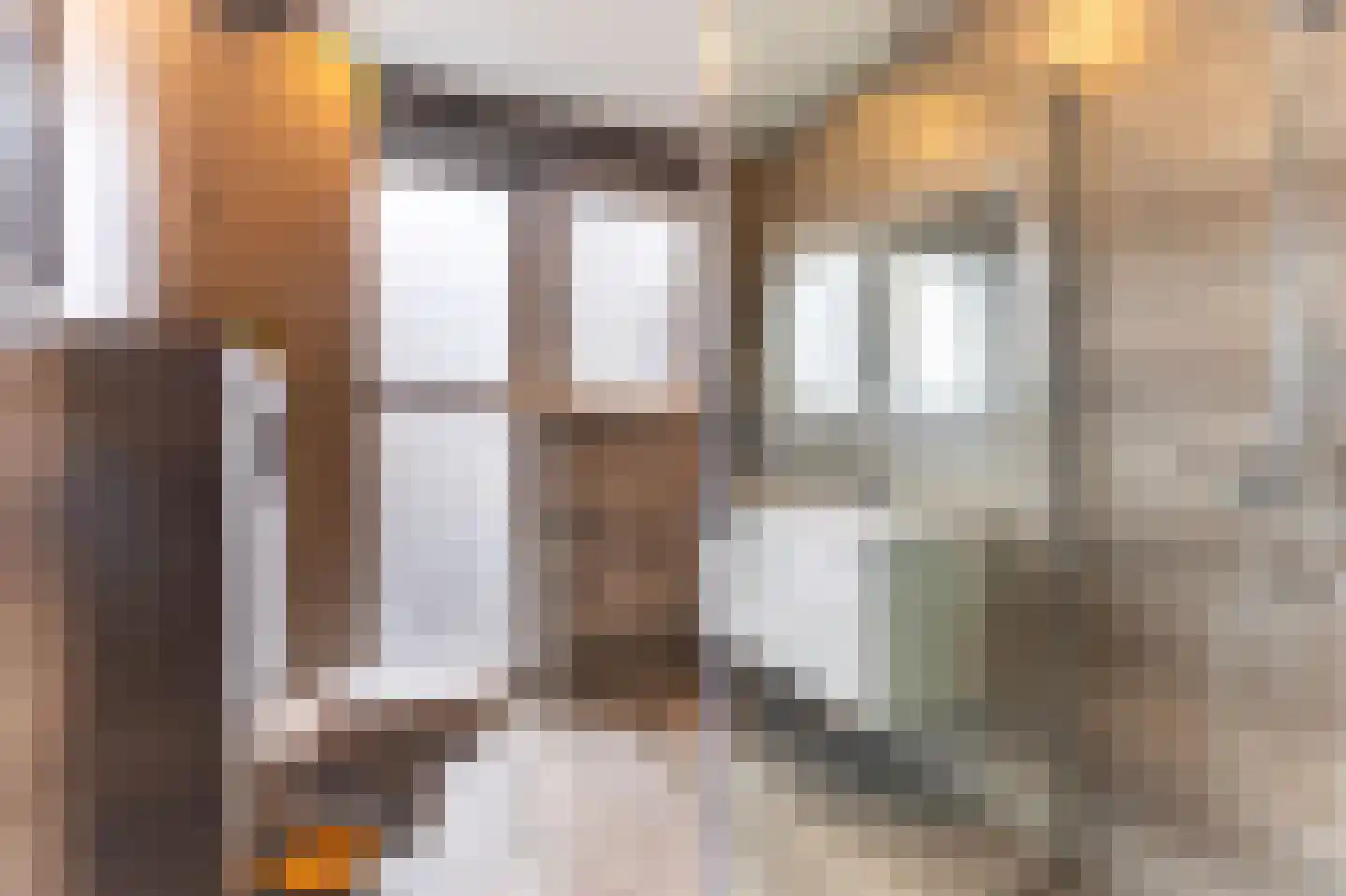Leliestraat 3 Koog aan de Zaan thumbnail 5