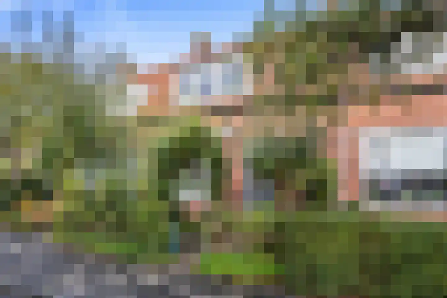 Leliestraat 3 Leeuwarden thumbnail 29