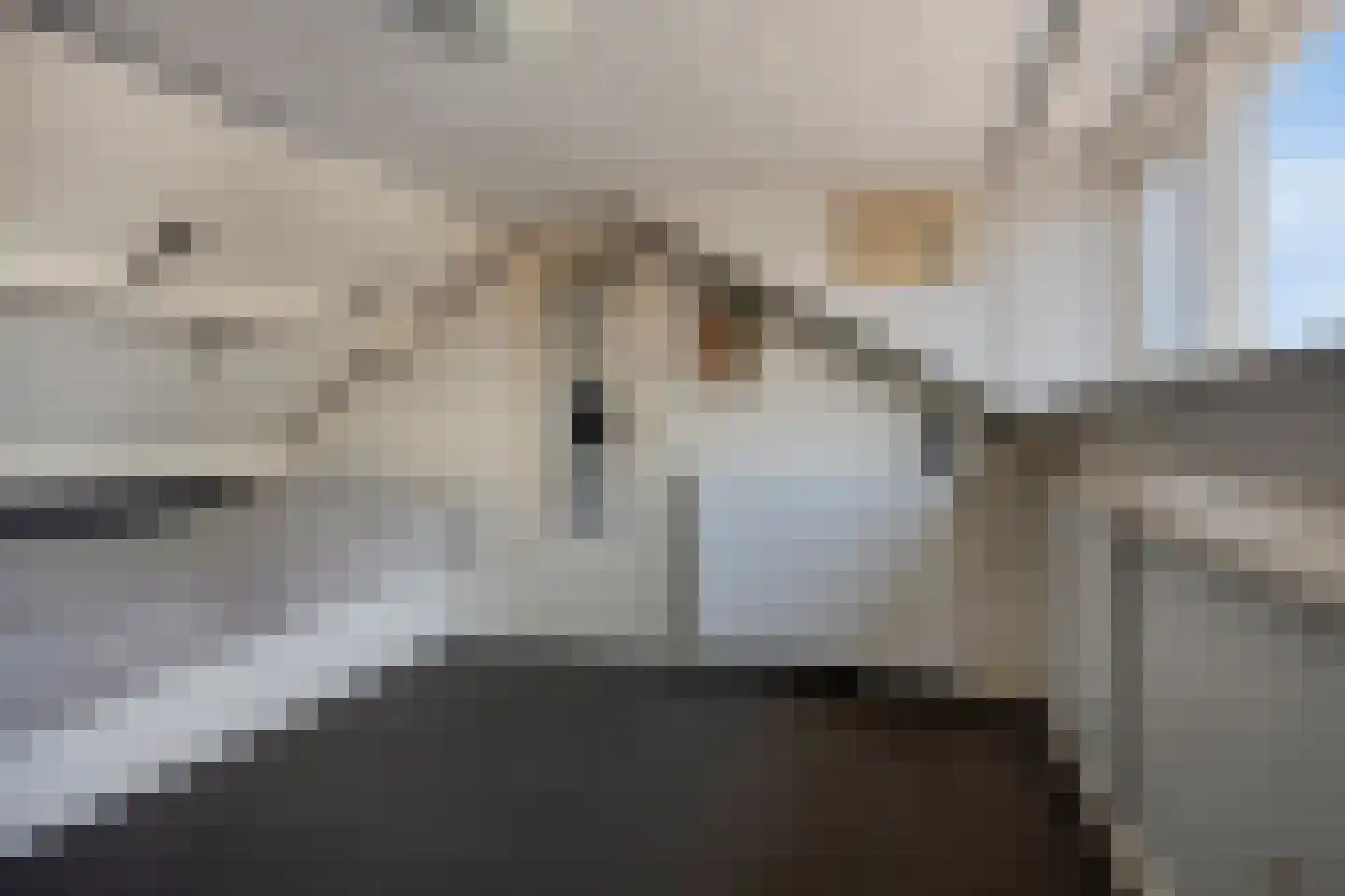 Leliestraat 3 Naaldwijk thumbnail 26