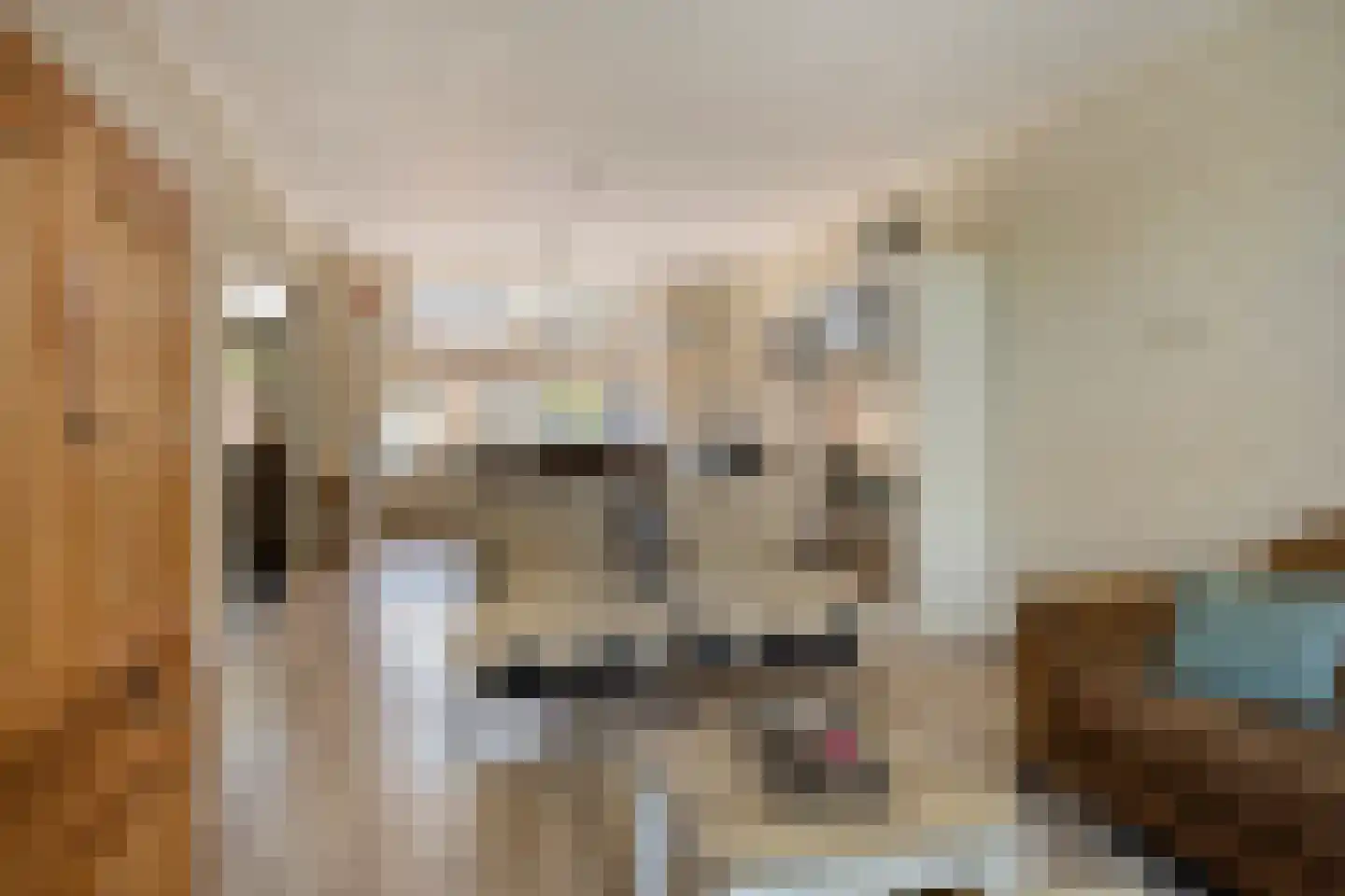Leliestraat 3 Naaldwijk thumbnail 7