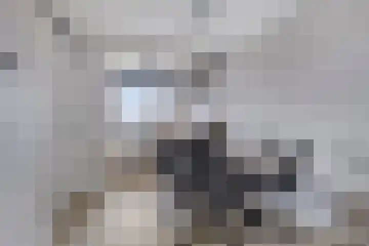 Leliestraat 3 Veenendaal thumbnail 15