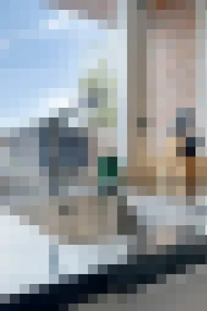 Leliestraat 3 Veenendaal thumbnail 19
