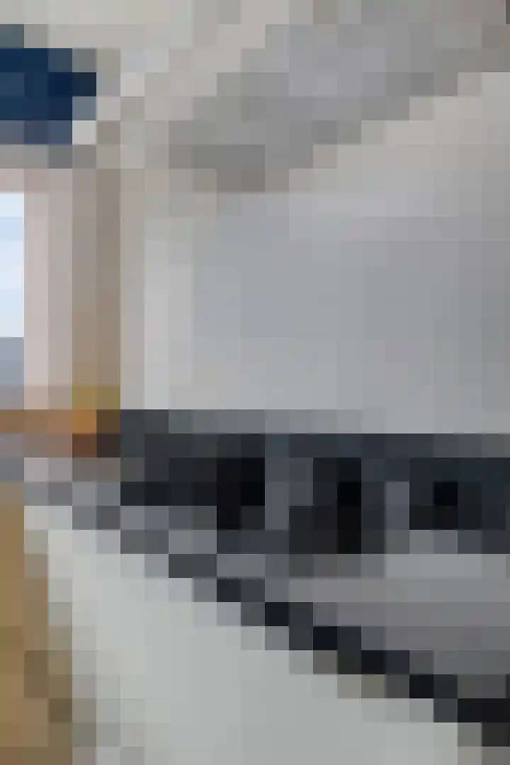 Leliestraat 3 Veenendaal thumbnail 20