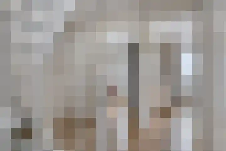 Leliestraat 3 Veenendaal thumbnail 22