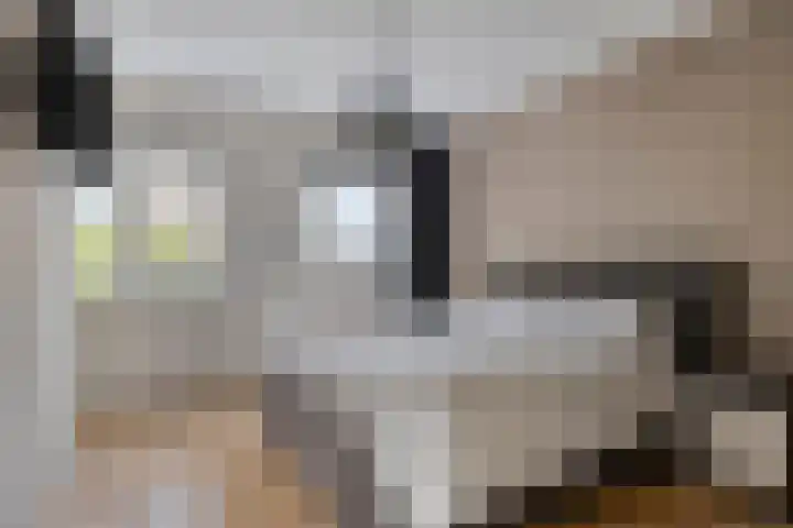 Leliestraat 3 Veenendaal thumbnail 23
