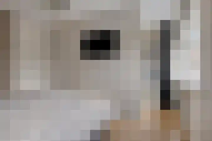 Leliestraat 3 Veenendaal thumbnail 24