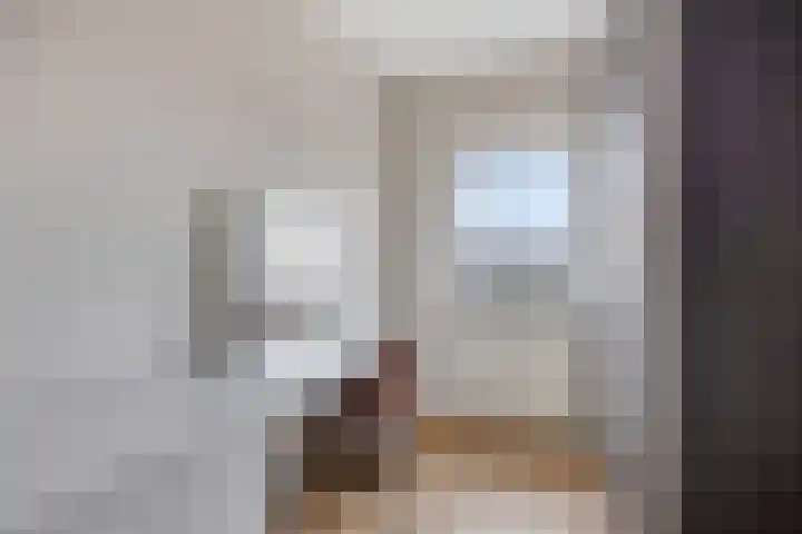 Leliestraat 3 Veenendaal thumbnail 28