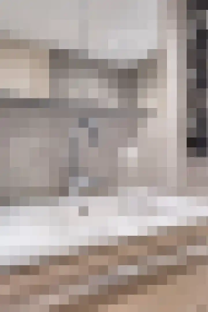 Leliestraat 3 Veenendaal thumbnail 32